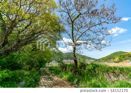 鄉村小路 58152170