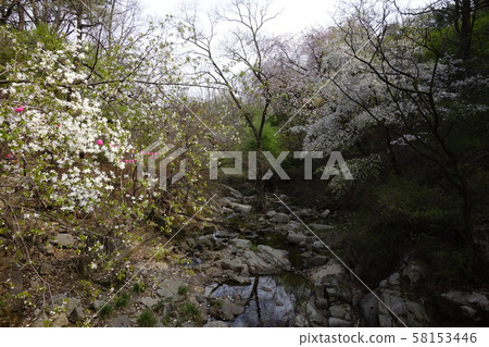 National Park, Bukhansan, Kalbawi National Park, Bukhansan, Kalbawi 58153446