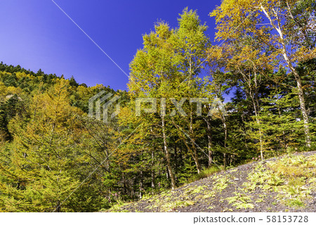 [Yamanashi Prefecture] Autumn image of Mt. Fuji Takizawa Forest Road Autumn image 58153728