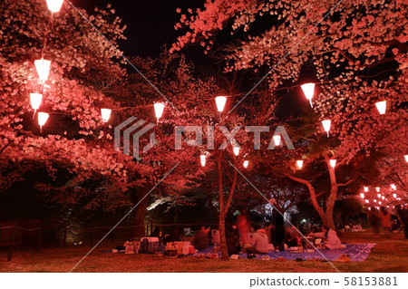 Komoro Kokoen Cherry-blossom viewing ④ 58153881