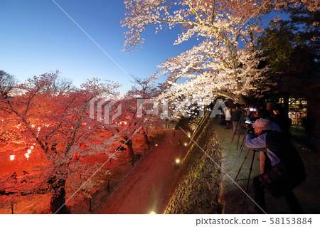 Komoro Kokoen觀賞櫻花③ Komoro Kokoen觀賞櫻花③ 58153884