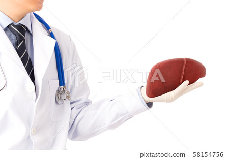 doctor hold liver disease , concept fatty liver  58154756
