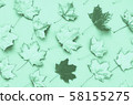 Autumn maple leaves. 58155275