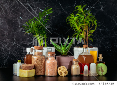 Organic cosmetics still life with aloe and plants 58156236