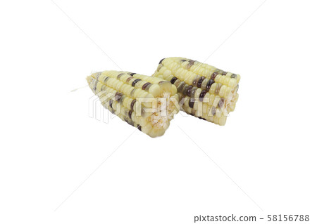 boiled corn ready to eat close up in isolated on 58156788
