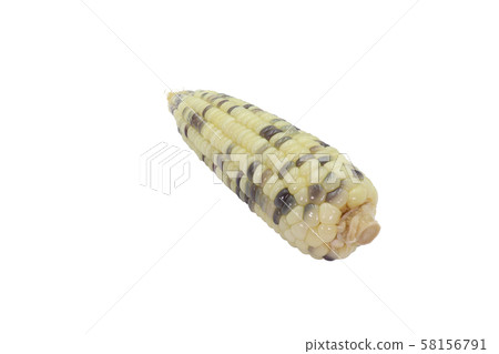 boiled corn ready to eat close up in isolated on 58156791