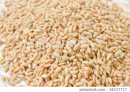 New rice with fir 58157717