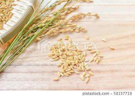 New rice with fir 58157719