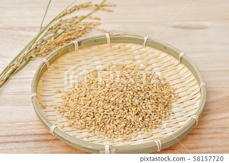 New rice with fir New rice with fir 58157720