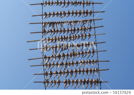 Mackerel Mackerel 58157829