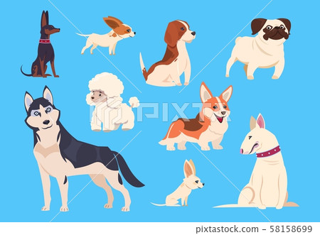 Cartoon dogs breeds. Corgi and husky, poodle and beagle, pug and chihuahua, bull terrier. Comic pet Cartoon dogs breeds. Corgi and husky, poodle and beagle, pug and chihuahua, bull terrier. Comic pet 58158699