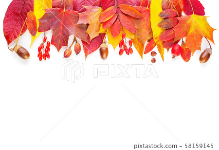Autumn decoration border. Fall leaves isolated Autumn decoration border. Fall leaves isolated 58159145