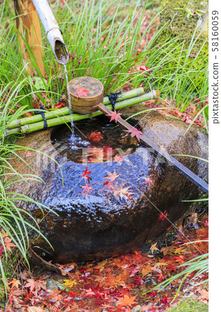 Tsukuba, autumn, maple leaves Tsukuba, autumn, maple leaves 58160059