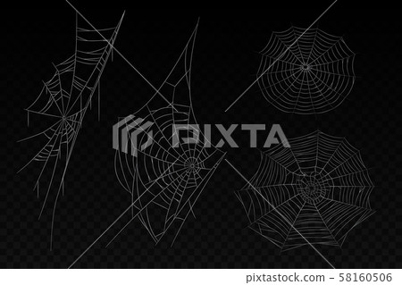 Set of isolated spider web. Halloween background 58160506