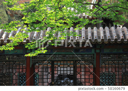 故宮_北京 故宮_北京 58160679