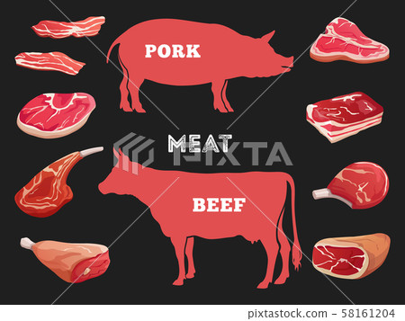 Different cuts of cow and pork meat vector illustration Different cuts of cow and pork meat vector illustration 58161204