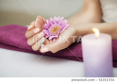 Nails in the spa. Well-groomed nails. Beautiful girl holds a flower in her hands. In the beauty Nails in the spa. Well-groomed nails. Beautiful girl holds a flower in her hands. In the beauty 58161558
