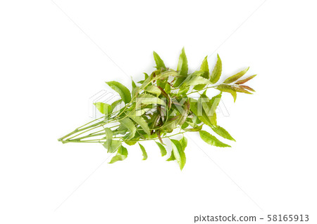 Neem leaves used as ayurvedic medicine with ground 58165913
