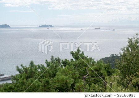 從高津山山眺望和歌山灣 從高津山山眺望和歌山灣 58166985