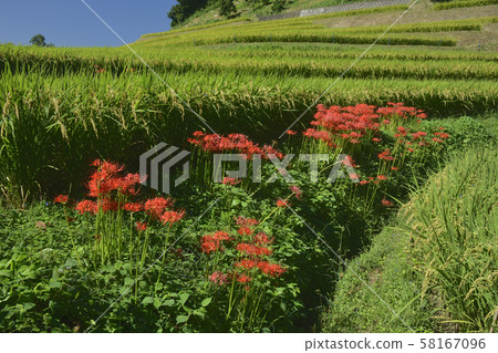 A rosary competing on the shore A rosary competing on the shore 58167096
