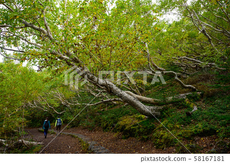 Mt.Fuji Hiking Course 58167181