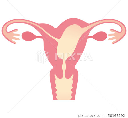 子宮畸形 子宮畸形 58167292
