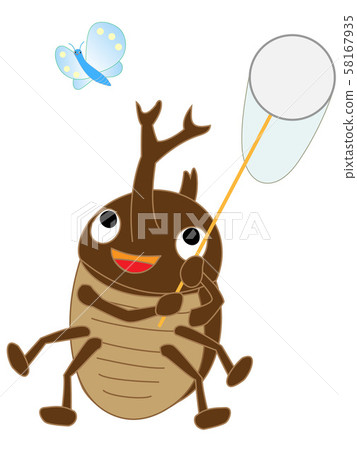 甲蟲昆蟲收藏 58167935