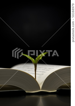 Open book and sprout Open book and sprout 58168979