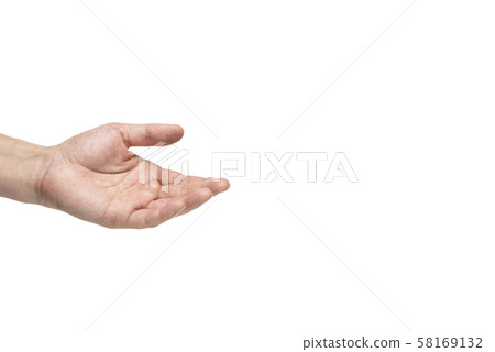 手部部位 58169132