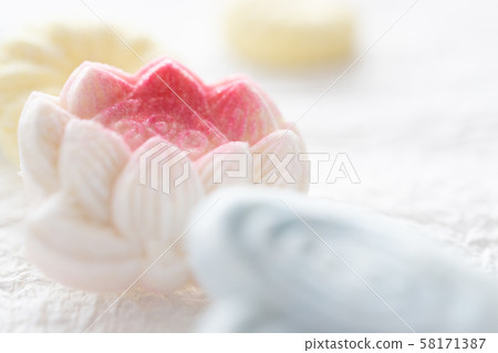 Japanese confectionery fallen goose 58171387