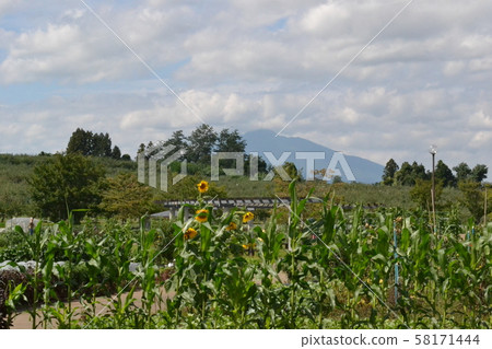 秋季從弘前市郊的小栗山農村交流公園眺望的磐城山 58171444