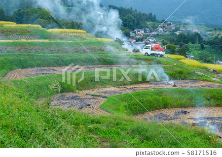 稻田煙 稻田煙 58171516