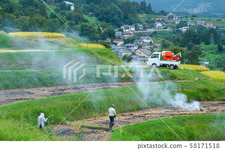 被燒的梯田 被燒的梯田 58171518