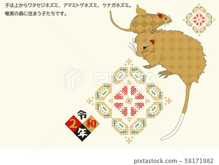 Amami New Year's card 2020 Child 013 Amami New Year's card 2020 Child 013 58171982