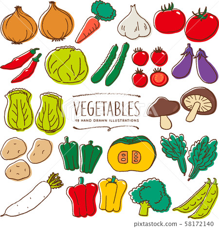 Vegetables hand drawn illustration color 58172140
