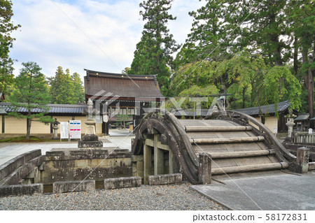[Taga Taisha] Taga-machi, Taga-cho, Inukami-gun, Shiga 58172831