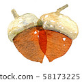 Autumn / Acorns / Watercolor 58173225
