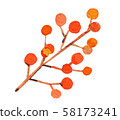 Fall / Fall Leaves 58173241