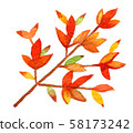 Fall / Fall Leaves 58173242