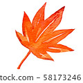 Autumn leaves / fall illustration 58173246