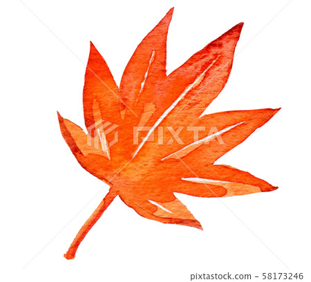 Autumn leaves / fall illustration Autumn leaves / fall illustration 58173246