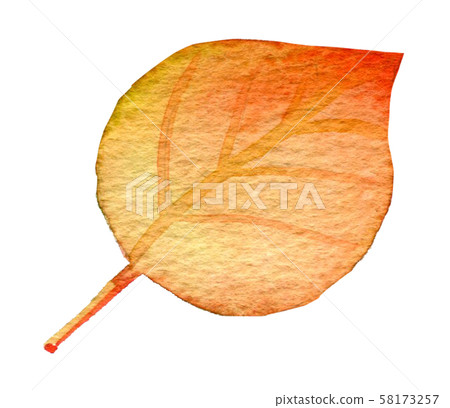 秋葉/秋天 58173257