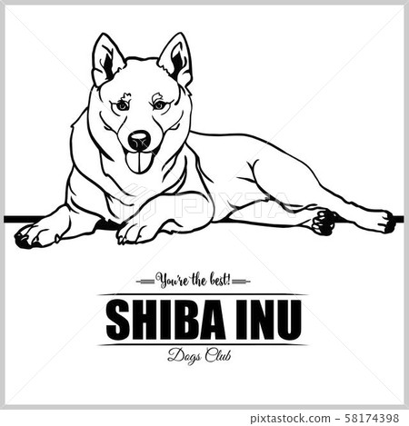 Shiba Inu Dog - vector illustration for t-shirt, logo and template badges Shiba Inu Dog - vector illustration for t-shirt, logo and template badges 58174398