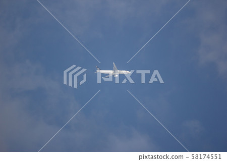 Airbus A330-300 of Thai Airway  Airline 58174551