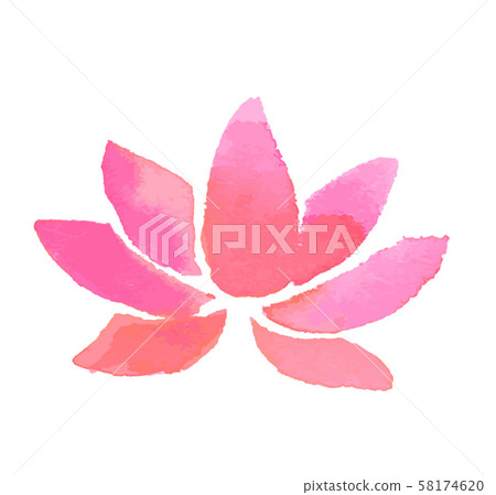 粉紅色的花水彩 58174620