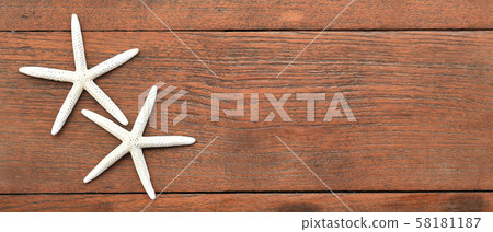 close up of starfish  58181187