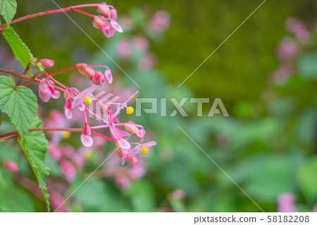 Close-up of Shukaido from left Close-up of Shukaido from left 58182208
