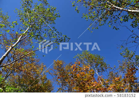 Tashiro and Taishakuzan 58183152