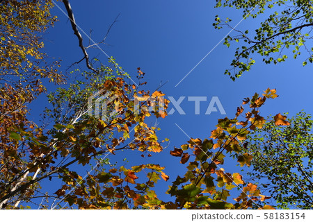 Tashiro and Taishakuzan 58183154