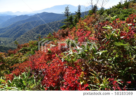 田代郎和大宅山 田代郎和大宅山 58183169